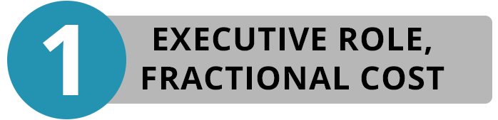 Fractional-Blue-Buttons-1